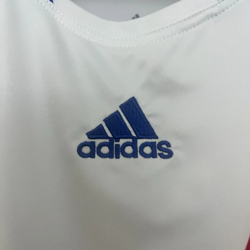 2010-2011 Lyon Jersey retro kit - 图片 2