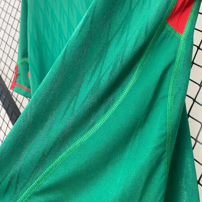 2010 Mexico Jersey retro kit - 图片 6
