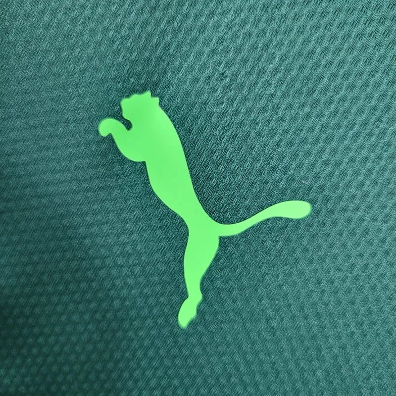 2020-2021 Palmeiras Second retro kit - 图片 2