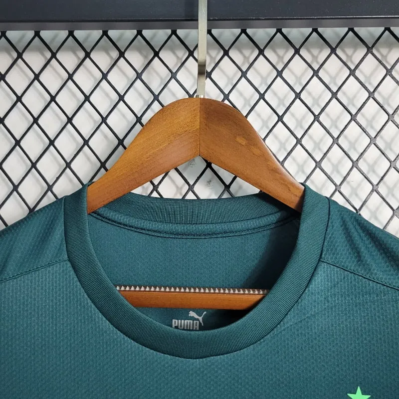 2020-2021 Palmeiras Second retro kit - 图片 4