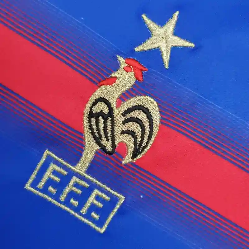 2004 France Jersey retro kit - 图片 4