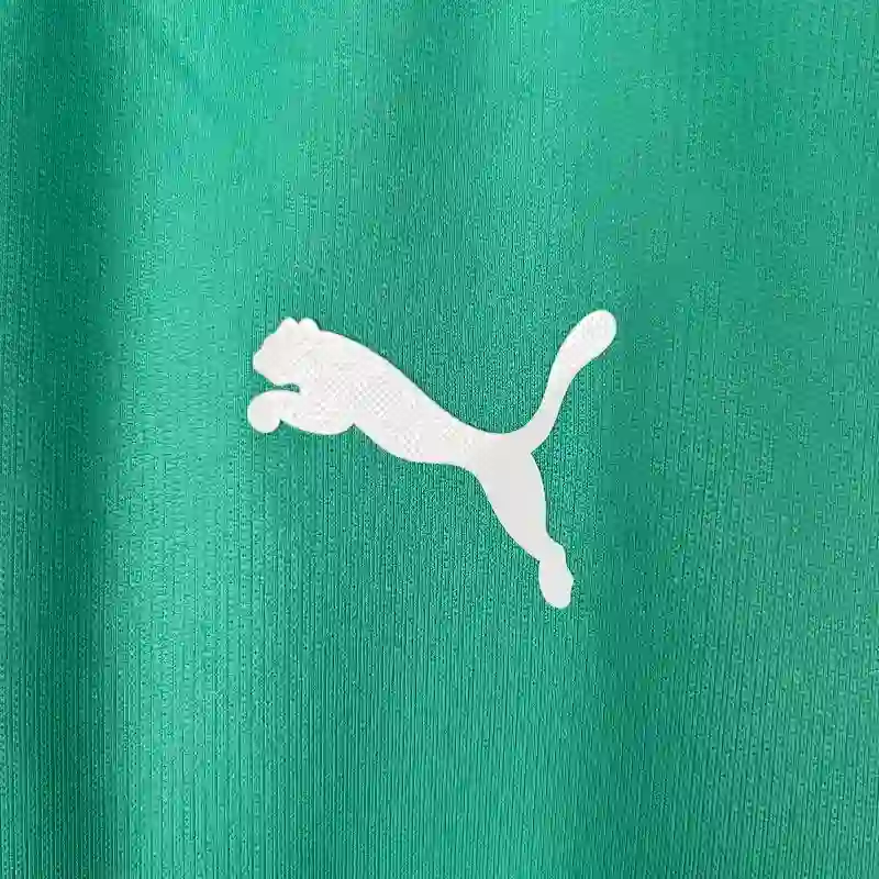 2019-2020 Palmeiras Third retro kit - 图片 2