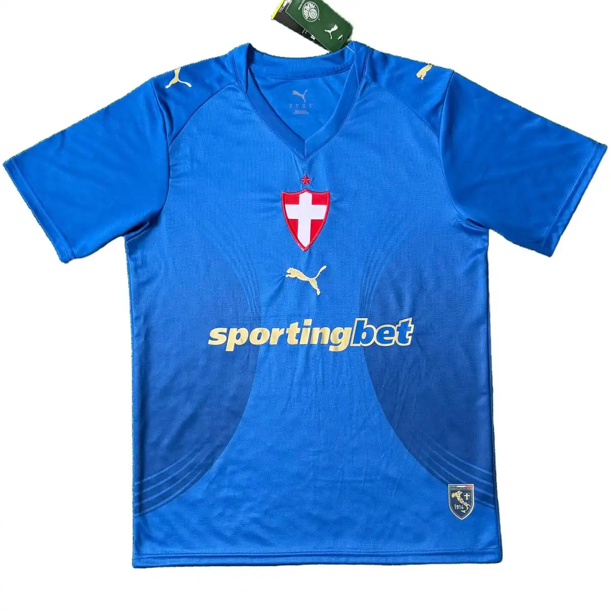 SE Palmeiras Third Jersey 2026